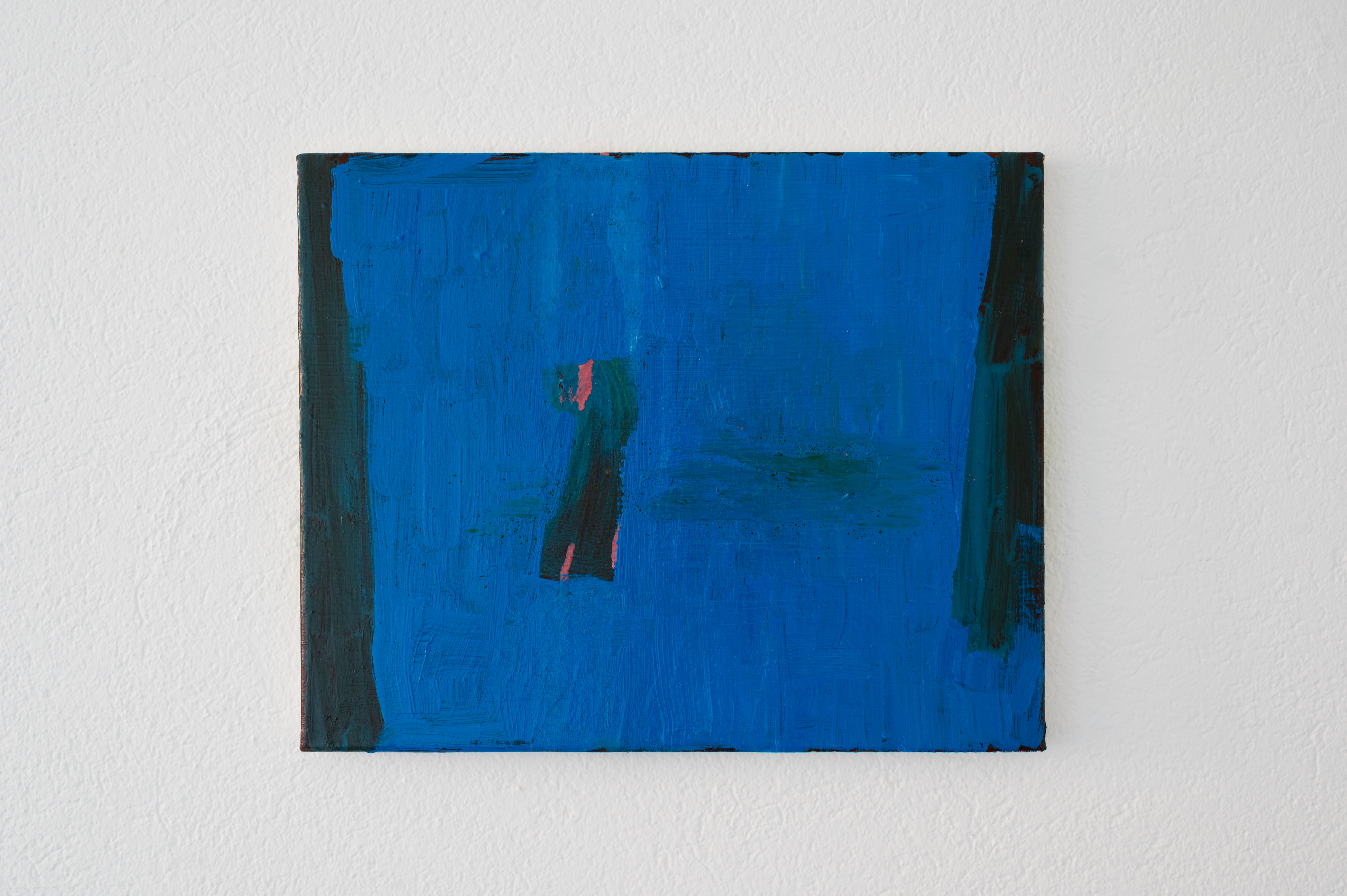 Untitled, oil on canvas, Manuel Schneider, 2026