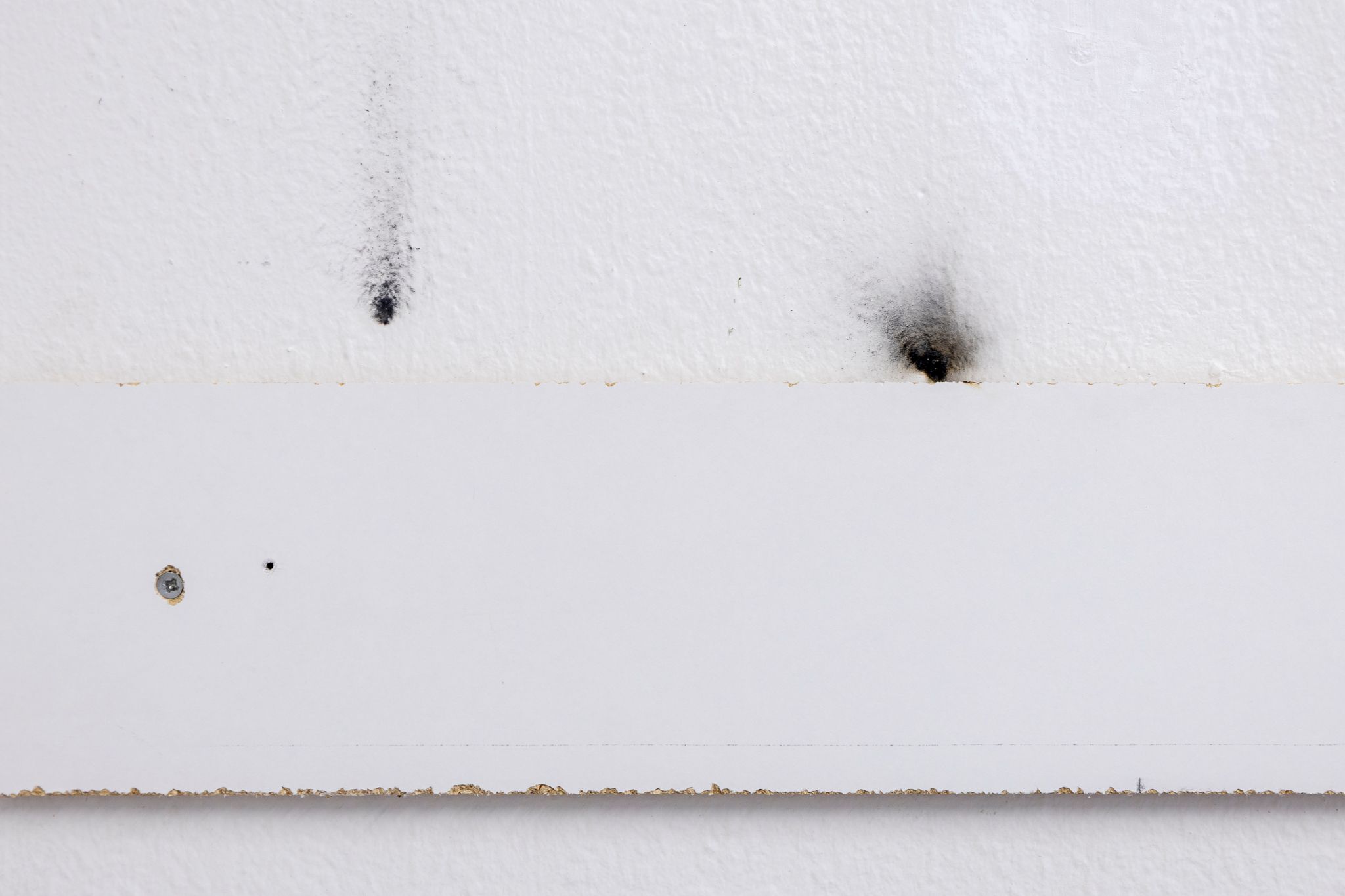 Recent Painting, Manuel Schneider, Danke An Das Team, 2024