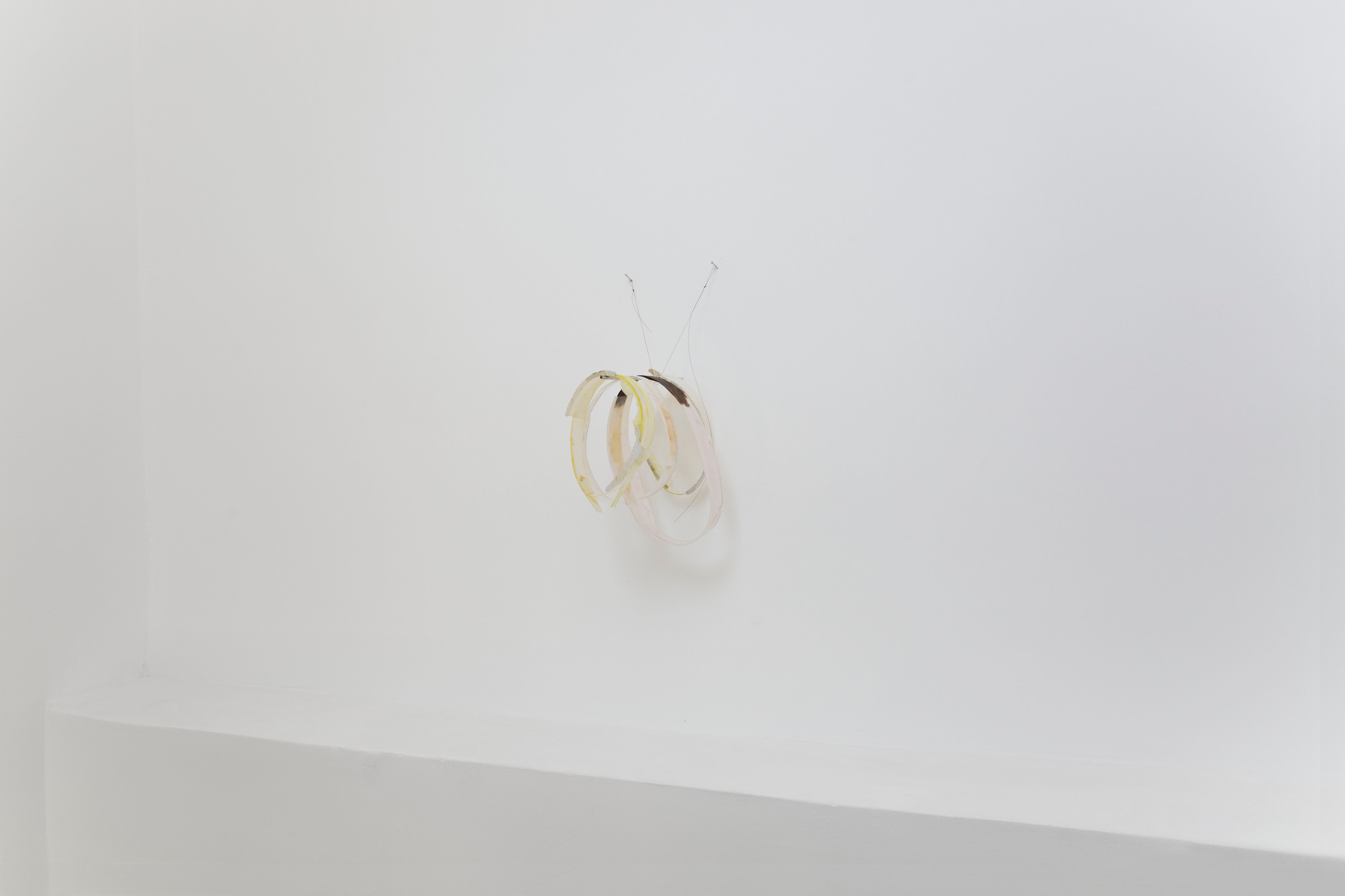 The Living, installation view, International Press, Athens, 2025
